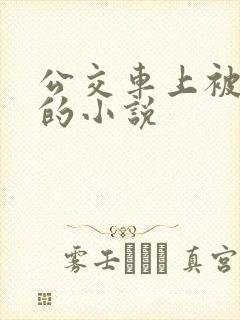 公交车上被侵犯的小说