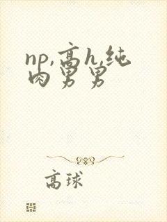 np,高h,纯肉男男