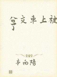 公交车上被人上了