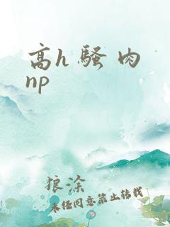 高h 骚 肉 np