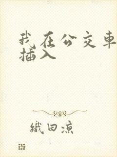 我在公交车上被插入
