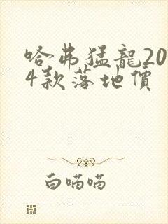 哈弗猛龙2024款落地价