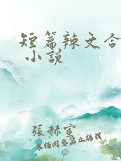 短篇辣文合集. 小说