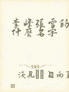 李峰张雪的书叫什么名字