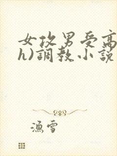 女攻男受高h(h)调教小说