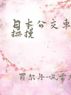 日本公交车上的抚摸