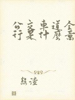公交车道全天限行是什么意思