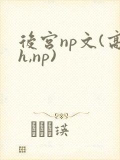 后宫np文(高h,np)