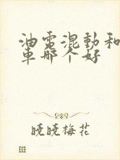 油电混动和纯电车哪个好