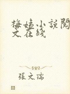 梅姨小说阅读全文在线