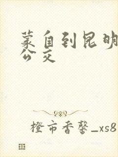 蒙自到昆明城际公交