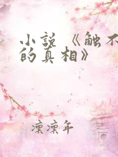 小说 《触不到的真相》