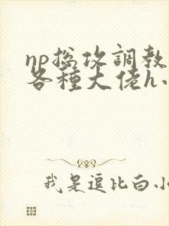 np总攻调教j各种大佬h小说