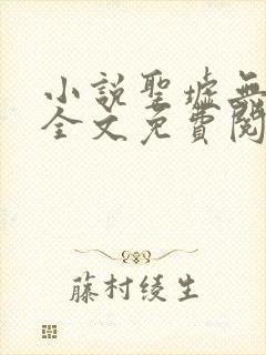 小说圣墟无弹窗全文免费阅读
