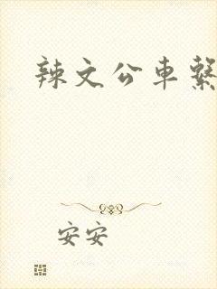 辣文公车系列