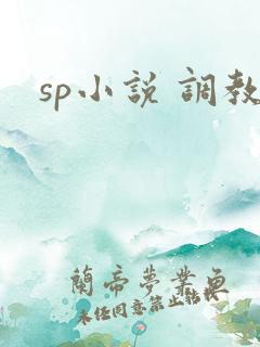 sp小说 调教