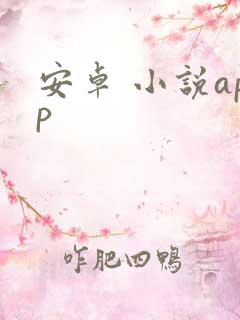 安卓 小说app 安卓 小说app