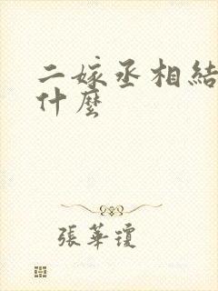 二嫁丞相结局是什么