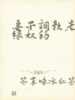 妻子调教老公成绿奴的