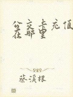 公交卡充值网点在哪里