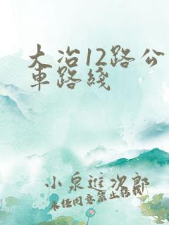 大冶12路公交车路线