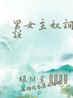 男女主奴调教小说