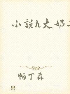小说h大奶子