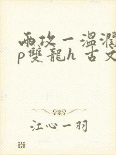 两攻一温润受3p双龙h 古文