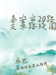 泰安市20路公交车路线图