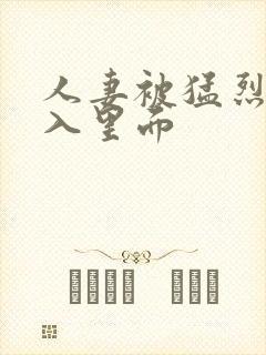人妻被猛烈放进入里面