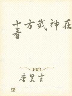 十方武神在线观看