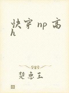 快穿 np 高h
