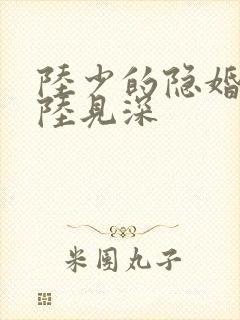 陆少的隐婚罪妻陆见深