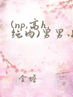 (np,高h,纯肉)男男小说