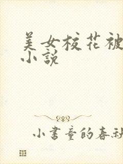 美女校花被蹂躏小说