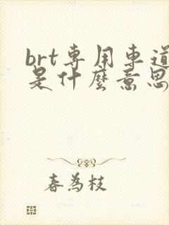 brt专用车道是什么意思