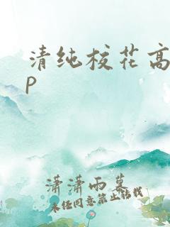 清纯校花高hnp