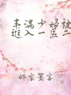丰满少妇被猛烈进入一区二区