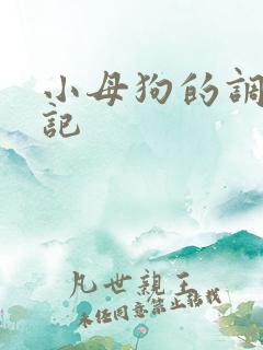 小母狗的调教日记