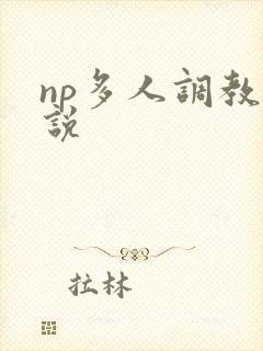 np多人调教小说