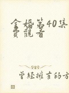 金婚第40集免费观看