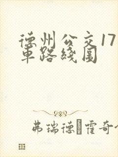 德州公交17路车路线图