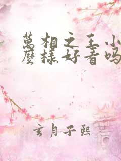 万相之王小说怎么样好看吗