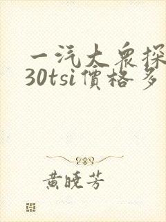 一汽大众探岳330tsi价格多少