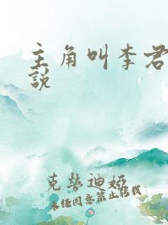 主角叫李君的小说
