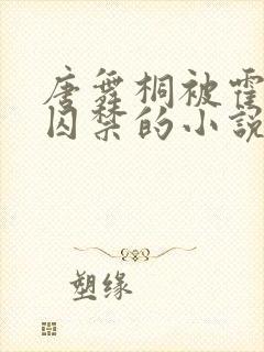 唐舞桐被霍雨浩囚禁的小说