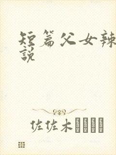 短篇父女辣文小说