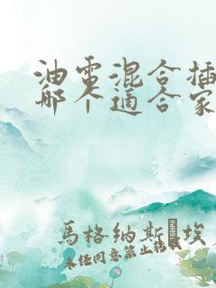 油电混合插电混哪个适合家用