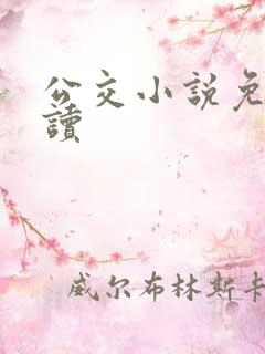 公交小说免费阅读