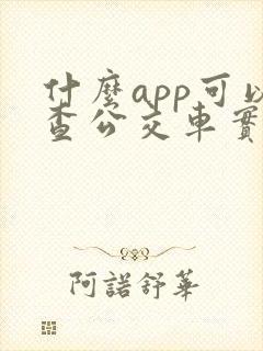 什么app可以查公交车实时位置